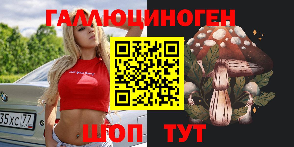 Псилоцибиновые грибы GOLDEN TEACHER Гатчина