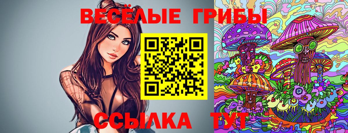 Галлюциногенные грибы Psilocybe  Вход с VPN  Гатчина 